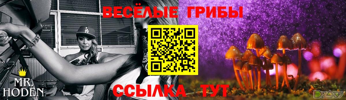 Галлюциногенные грибы Psilocybe Нижнекамск